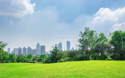 Post 4 : Lorem Ipsum Dummy Text